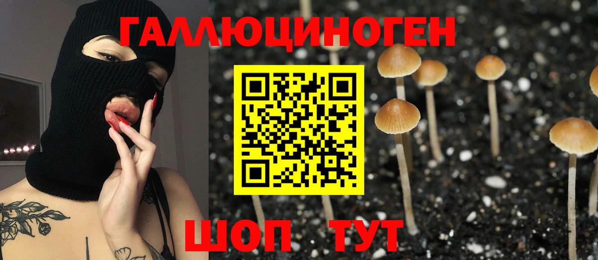 Галлюциногенные грибы MAGIC MUSHROOMS Волгоград